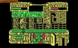 Screen gry Mambo: 
