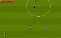 Manchester United Premier League Champions:  