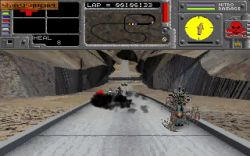 Maximum Roadkill:  