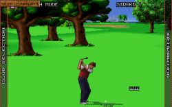 Nick Faldo's Championship Golf:  