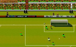 Screen gry Sensible World of Soccer '96/'97: 