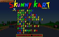 Obrazek z gry Skunny Kart