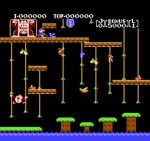 Donkey Kong Jr. + Jr. Lesson