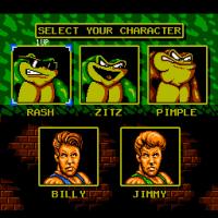 Battletoads & Double Dragon: The Ultimate Team