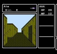 Deep Dungeon IV: Kuro no Yōjutsushi