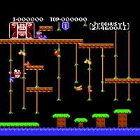 Donkey Kong Jr.