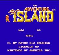 Hudson's Adventure Island (PL)