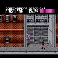 Ninja Gaiden