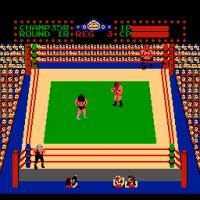 Tag Team Wrestling