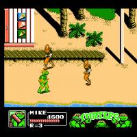 Teenage Mutant Ninja Turtles III: The Manhattan Project