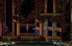 Blackthorne
