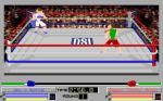 4D Sports Boxing