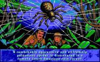 Arachnophobia