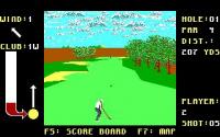 California Pro Golf
