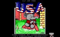 CJ in the USA