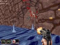 Shadow Warrior