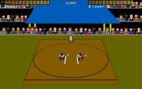 Sumo Wrestling