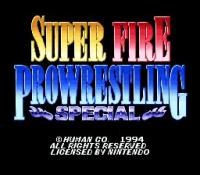 Gra Super Fire Pro Wrestling Special