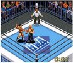 Super Fire Pro Wrestling X