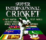 Gra Super International Cricket