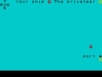 Gra Privateer