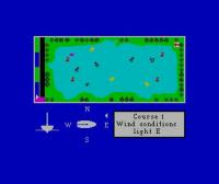 Yacht Race